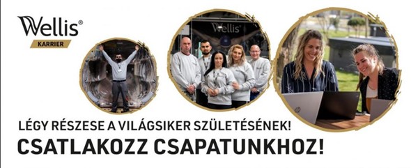 wellisKŠp1.jpg